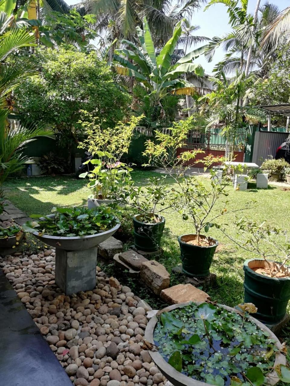 Serenity Villa Hikkaduwa Exterior foto