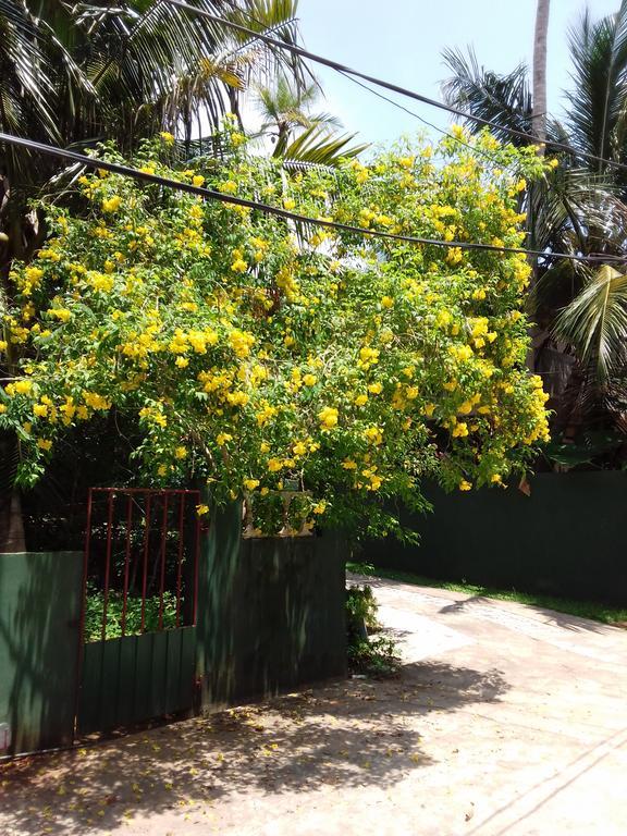 Serenity Villa Hikkaduwa Exterior foto