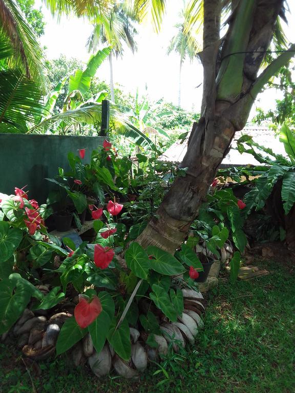 Serenity Villa Hikkaduwa Exterior foto